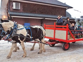 Ernie Prosser has been busy over recent weekends, taking his horse sleigh team out for rides at events in the county, including Aspen Crossing’s annual Winter Fest, which was held Saturday, Dec. 1.