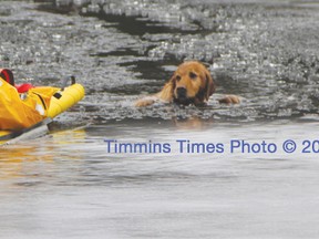 Firefighter Gilles Leduc rescued a small golden retriever from the freezing Mattagami River Tuesday.  Exclusive Timmins Times LOCAL NEWS photo by Len Gillis.
