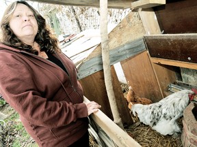 Sherry Poppe understands she will have to re-home her rooster after a  suspected noise complaint, but can't understand why she should also get rid of her backyard hens who provide fresh eggs for her family and neighbours. DIANA MARTIN/ THE CHATHAM DAILY NEWS/ QMI AGENCY