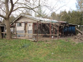 The 150 dogs rescued from this site in Villa Nova remain in the custody of the Hamilton-Burlington Society for the Prevention of Cruelty to Animals. (MONTE SONNENBERG Simcoe Reformer)