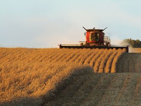 Farm machinery management is often a balancing act between timeliness of operations and excess capacity. (File photo)