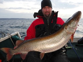 David Lawrence shows off the 54" by 28.5" muskie he caught last week in the 40 Acres on the St. Lawrence River during his annual fishing trip to the area.