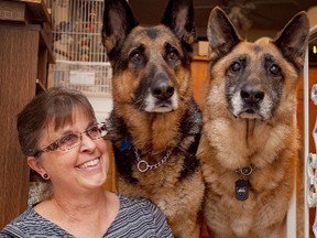 Maureen Gibson found her "forever friends" in the form of two older German Shepherds, Onyx and Cobalt. She and her daughter Shannon want people to consider adopting less-desireable dogs that are older or large breeds and that often have trouble finding homes, and they are willing to co-sponsor adoption fees for individuals wanting to adopt these types of dogs.
