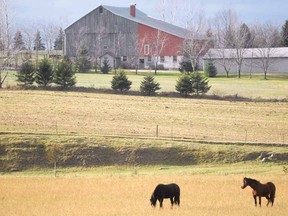 THROUGH THE GREY DAY
SCOTT WISHART The Beacon Herald
A rare glimpse of sunshine on a cloudy day brightens a farm scene north of the city Wednesday.
