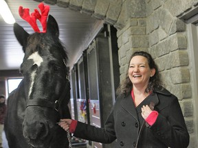 CHRISTOPHER SMITH, The Expositor

Christi DeVries holds Addy, a percheron, decked out in reindeer antlers at an open house held at Southern Cross Equestrian Centre on Sunday to raise funds for abused horses recovering at Whispering Hearts Horse Rescue, near Hagersville.