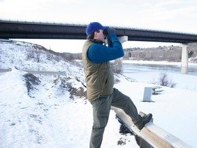 Doug Macaulay scans the North Saskatchewan River for birds during the 2011 Christmas Bird Count. The 2012 count is set for Dec. 22.