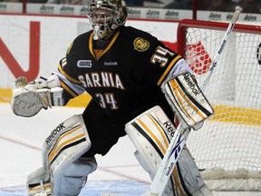 Sting goalie J.P. Anderson (Observer file photo)