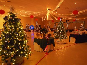The sparkling festive display at the Evergreen centre
