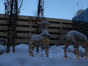 The Ted and Lois Hole Healing Garden at the Royal Alexandra Hospital has been lit up for the holidays.