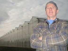 Ted Berkel manages a large greenhouse growing operation north of Simcoe. In its latest Census of Agriculture, Statistics Canada reported this week that the amount of greenhouse space in Ontario more than tripled between 1991 and 2011. (MONTE SONNENBERG Simcoe Reformer)