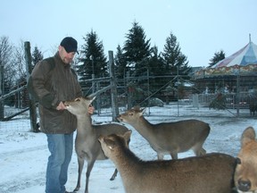 Staff photo/GREG PEERENBOOM
Andy Scherer, owner of Dalkeith Santa Village, feeds some of his tame deer at his location in North Glengarry on County Road 23 north of Dalkeith.
