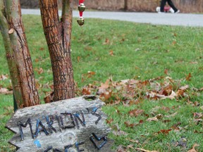 'Marion's Tree' located in Canatara Park in Sarnia, Ont., has been a popular site for visitors to the area who have left a number of special messages there. The willow was planted in honour of the late Marion Mathewson. (TARA JEFFREY, The Observer)