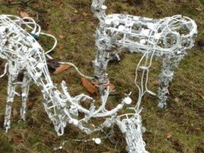 Ornamental lit deer figures were destroyed and posed inappropriately in mid-December 2012 on a Paris residents lawn. This photo has been cropped for content. SUBMITTED PHOTO