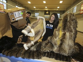 Lucas Solowey and Virginia Fort of PETA unpack furs at the John Innes Community Centre in Toronto on Thursday, Dec. 20, 2012.  They planned to give fifty "marked" furs to the homeless to keep warm over the winter. (Veronica Henri/Toronto Sun)