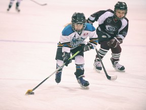 Alexis VanNetten of the Simcoe Novice Warriors heads to the net pursued by a Tillsonburg Tornado player during her team’s 8-3 loss at Talbot Gardens Thursday night. (DANIEL R. PEARCE Simcoe Reformer)