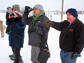 Every year, the Timmins bird count reveals a new surprise or two that shocks even the most avid nature-lovers in the city. This weekend, over 400 snow buntings were spotted during the 2012 bird count. Only nine snow buntings had been recorded over the past decade of local bird counts. Among the birders who put their binoculars to work this year were, from left, Stan Vasiliauskas, Vicky Bernstein, Kees Stryland and Richard Moore.