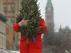 The Ottawa Fire Service is asking residents to throw out their Christmas trees now — before they become dangerous.    
Ottawa Sun/QMI Agency
