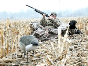Duck hunter Rob Seal takes aim, while his dog Avery waits patiently in a field outside of Ridgetown earlier this month. Seal was hunting on this private land when he was approached twice by a woman upset about the hunt taking place. The woman was allegedly charged with interfering with a legal hunt. (QMI Agency photo)