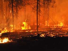 Flames and blazing hot embers litter the forest floor marking the destructive path of the Timmins 9 forest fire in May. The blaze prompted evacuations and  the closing of Hwy. 144.