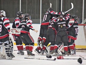 BRIAN THOMPSON, The Expositor

Brantford 99ers players celebrate their 4-2 victory in the bantam A championship over Finland on Sunday at the Wayne Gretzky International Hockey Tournament.