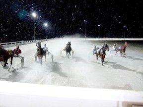 Drivers and horses hit the track during the last night of racing at Sudbury Downs on Nov. 24