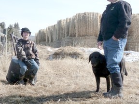 Curtis Sandboe believes his lab Buddy may well have saved the life of his young son Kjelt after he was killed taking on a cougar at the family farm near LaGlace on Christmas day.   Sandboe and his father Chester tracked and shot the cougar. (Supplied)