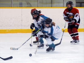 The Woodstock Wildcats will host their 17th annual tournament starting this morning until Sunday evening. The tournament will have 63 teams play a total of 130 games in 12 divisions.