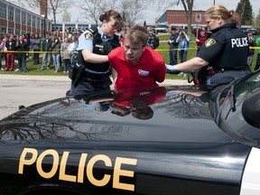 Ingersoll District Collegiate Institute students and staff watch as grade 11 student Marshall Cowell is handcuffed by police during a mock drunk driving collision at the school on April 26, 2012. (CRAIG GLOVER/QMI AGENCY)