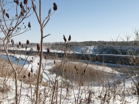 Homes sit beyond the south boundary of the Carmeuse limestone quarry, which could become a landfill for garbage from Toronto, in Beachville. (CRAIG GLOVER, The London Free Press)