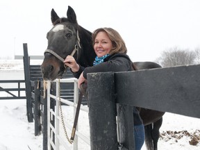 Ann Straatman, reproduction manager at Seelster Farms, stands with Camluck, a 26-year-old stallion, at the farm near Lucan on Thursday January 3, 2013.  The stallion earned over $1 million during his racing career, with his offspring earning over $190 million in progeny earnings. (CRAIG GLOVER, The London Free Press)