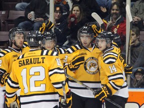 The Sarnia Sting celebrate the first OHL goal from Taki Panziris (second from right) during the first period Friday against the Windsor Spitfires at the RBC Centre. (PAUL OWEN, The Observer)
