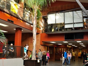 This queen palm tree has found a warm, new home at Central Algoma Secondary School courtyard.