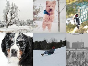 Some of the winter photos submitted by Sun Media readers.