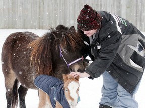 Liz Elliott pets Khandi, born on New Year’s day, at JL Stables in Brucefield on Jan. 2.