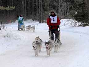 TERRY FARRELL/DAILY HERALD-TRIBUNE
Rick Wanamaker comes to the final turn just ahead of Rachel Wanamaker in the 4-dog, 4-mile Purebred race. The Grande Prairie Sled Dog Derby was held Saturday and Sunday at Evergreen Park.