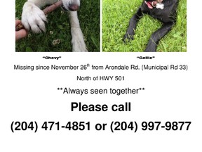 Garett Aubin has been posting this notice regarding his two dogs who went missing on Nov. 26 in the Dufresne area. (Handout)