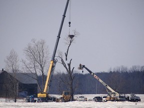 Residents are outraged with the removal of a bald eagle's nest in Fisherville on the Saturday, Jan. 5, 2013. The tree housing the nest was cut down to make way for an access road for the Summerhaven wind turbine project.    (Photo courtesy Ontario Wind Resistance)