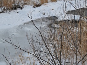 Footprints on thin ice. (QMI Agency file photo)