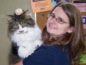 Julie Davies, animal care attendant for the OSPCA SDG branch, holds an adult cat with a pom pom on his head to signify the “cherry on top” of a cupcake for National Cupcake Day in February.
Staff photo/ERIKA GLASBERG