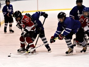 Kara Wilson, for The Expositor
 
Dakota LaForme, of Brantford's Rental City Warriors, fights for the puck against players with the Clarkston Hurricanes on Friday during the opening day of the Walter Gretzky Recreational House League Tournament at the Wayne Gretzky Sports Centre.