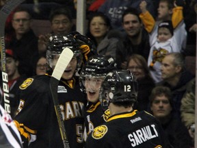 Reid Boucher, centre, of the Sarnia Sting, is congratulated by teammates Tyler Hore, left, and Charlie Sarault, right after scoring in the first period against the Ottawa 67's Saturday, Jan. 12, 2013 at the RBC Centre in Sarnia, Ont. PAUL OWEN/THE OBSERVER/QMI AGENCY