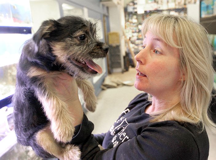 Pet store owner says she’s not a ‘scumbag’ despite city proposal