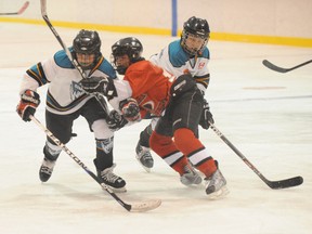Simcoe's Luke Morgan (left) goes for the puck followed by an Ayr Flames player during the second game of OMHA peewee B playdowns on  Sunday, Jan. 13, 2013. Simcoe lost 3-1.  (SARAH DOKTOR Simcoe Reformer)