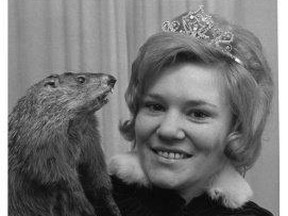 Anna-Marie Lymburner was the queen of the Wiarton Willie Festival in 1971. She has won a contest to be in Willie's shadow cabinet this year.