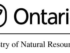Ministry of natural resources logo