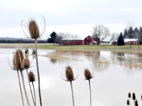 Heavy rains combined with snow melt over the weekend has left area streams overflowing their banks. Residents of Chatham-Kent are warned to steer clear of the potentially dangerous waterways. 
(DIANA MARTIN, The Chatham Daily News)