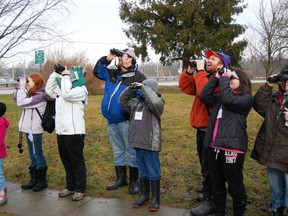 Dozens of participants, including 21 children from across the region, look for birds during the first annual Christmas Bird Count for Kids, put on by the Otter Valley Naturalist Club, in Port Burwell on Saturday. Organizers confirmed that a total of 1,131 birds and 32 different species were counted, including Belted Kingfisher, Common Redpoll, Northern Flicker and Bald Eagle. 

KRISTINE JEAN/TILLSONBURG NEWS/QMI AGENCY