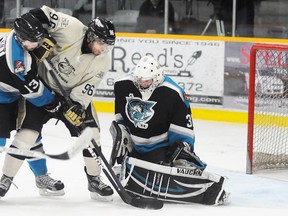 Trenton Golden Hawks' Sammy Banga tries to jam a puck past Lindsay Muskies' Tanner Davis while being checked by Louis-David Bourgault during the Muskies' 5-0 whitewash of the OJHL leaders Sunday at the Community Gardens. The loss ended Banga's nine-game points streak.