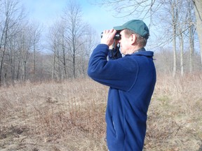 Stan Caveney, a volunteer with Thames Talbot Land Trust, looks for birds with binnoculars at Wardsville Woods.