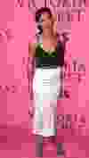 Rihanna on the Pink Carpet at the Victoria's Secret Fashion Show. (Kyle Blair/WENN.com)